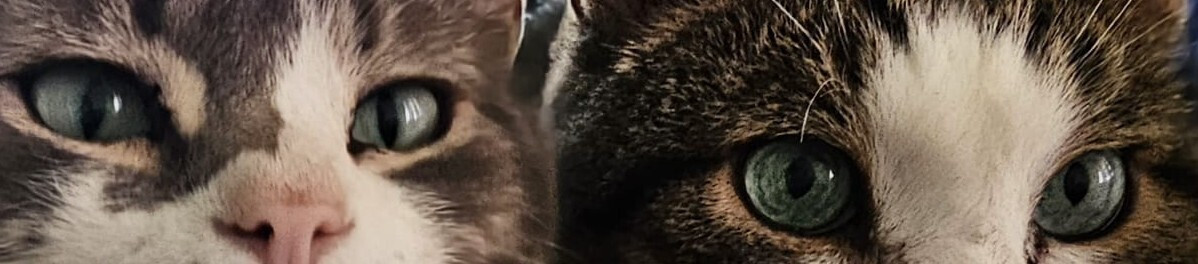 Finn Links macht Werbung für unsere cremen & Tommy Rechts für diese Webseite